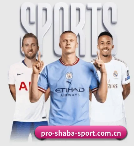 平台简介 - 体育资讯内容服务